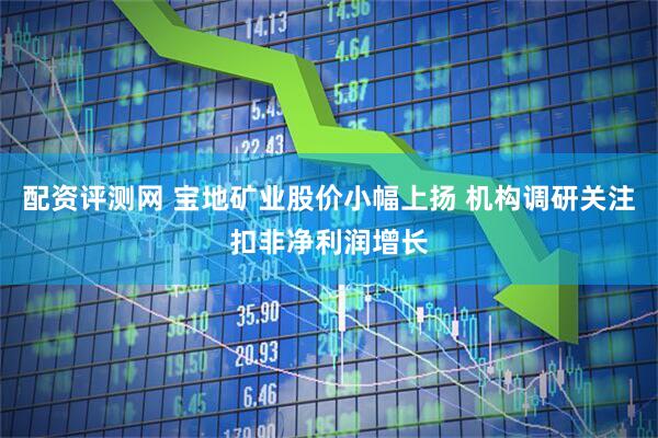 配资评测网 宝地矿业股价小幅上扬 机构调研关注扣非净利润增长