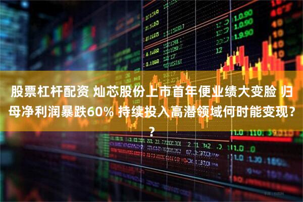 股票杠杆配资 灿芯股份上市首年便业绩大变脸 归母净利润暴跌60% 持续投入高潜领域何时能变现？
