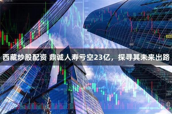 西藏炒股配资 鼎诚人寿亏空23亿，探寻其未来出路